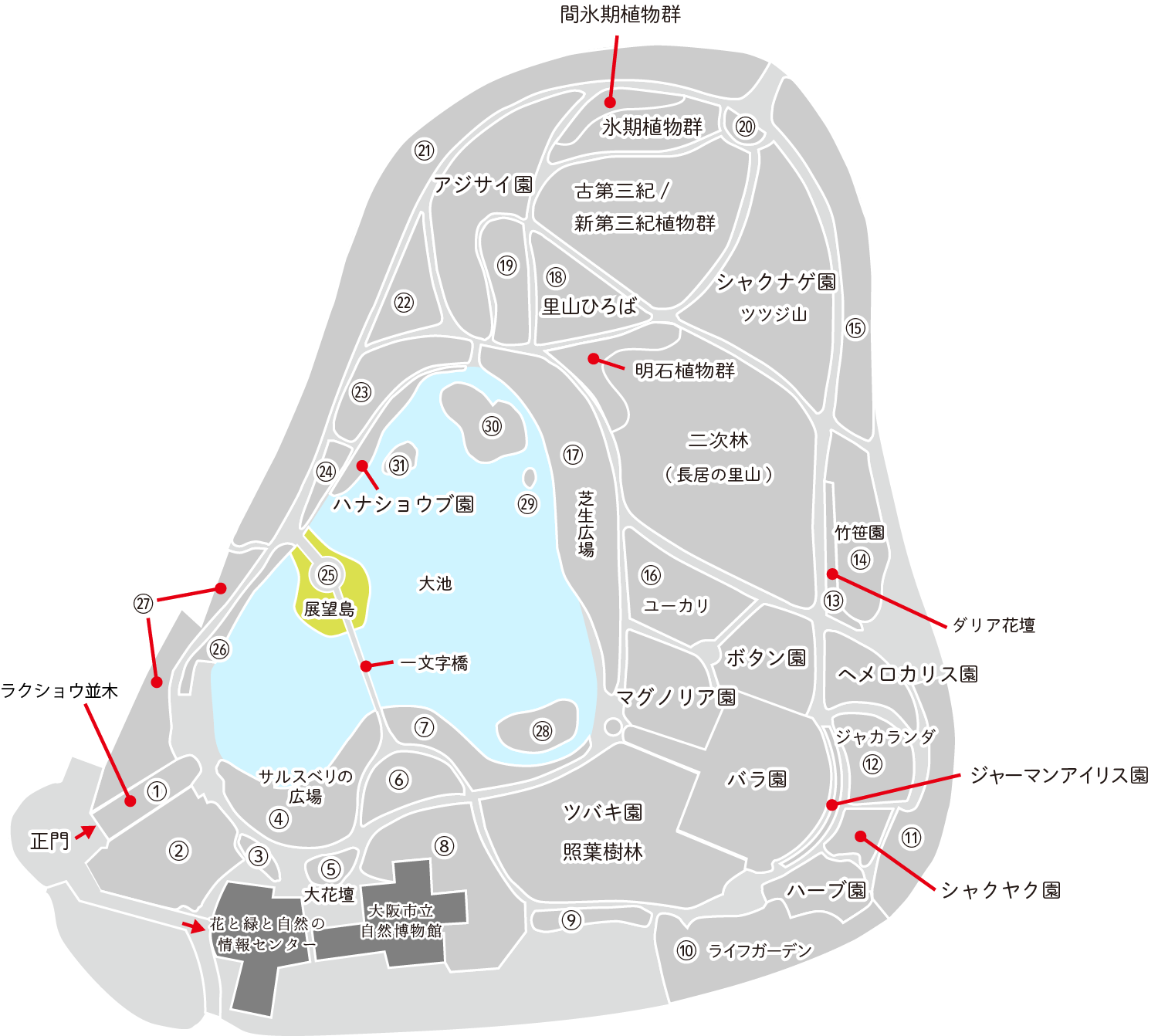 ソメイヨシノが見れる場所　㉕展望島