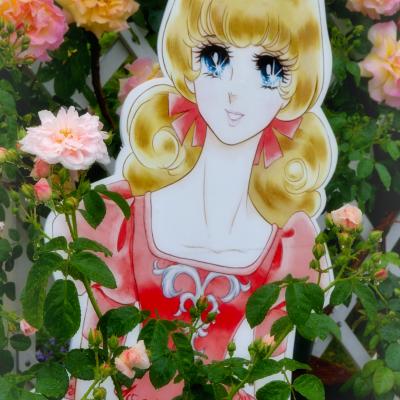 バラ