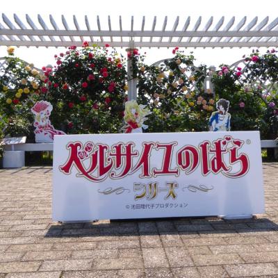 バラ