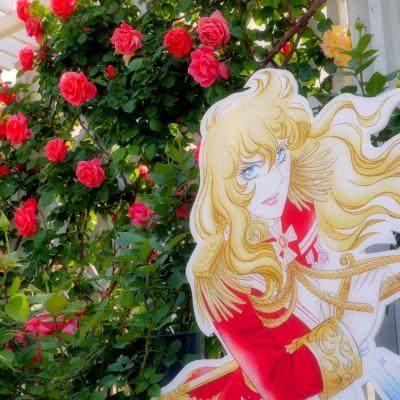 バラ