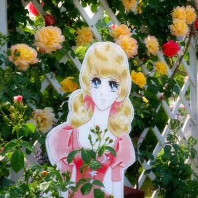 バラ