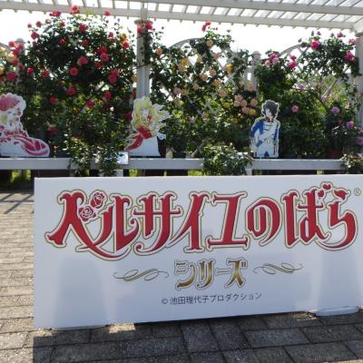 バラ
